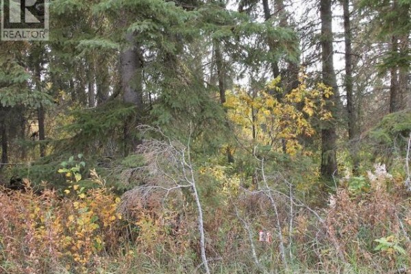Lot 25 Bodnar Road, Brightsand Lake, SK, photo 3