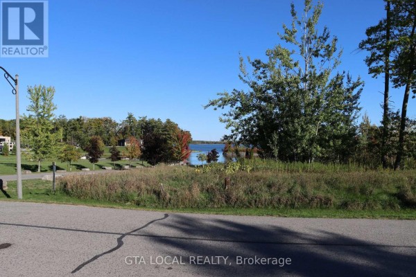 Lot 25 Fire Route, Trent Lakes, ON K0L1J0 Photo 4