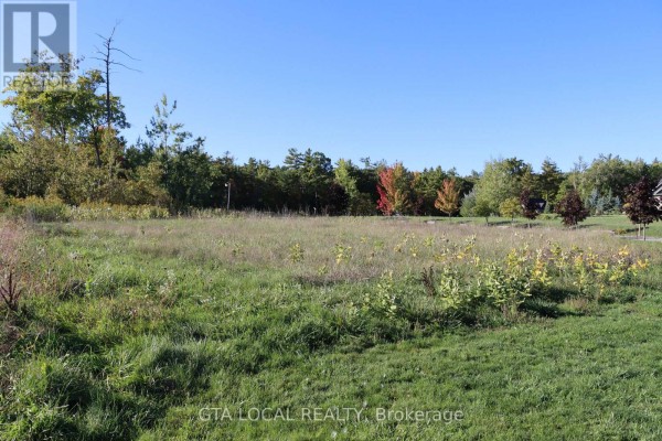 Lot 25 Fire Route, Trent Lakes, ON K0L1J0 Photo 5