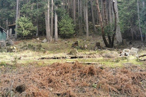 Lot 25 Wood Dale Dr, Mayne Island, BC V0N2J2 Photo 4