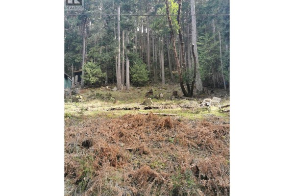 Lot 25 Wood Dale Drive, Mayne Island, BC V0N2J2 Photo 4
