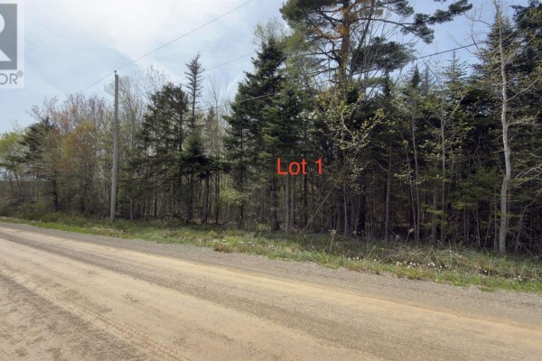 Lot 26-1 Beech Hill Road, Princeport, NS B6L1B7 Photo 2
