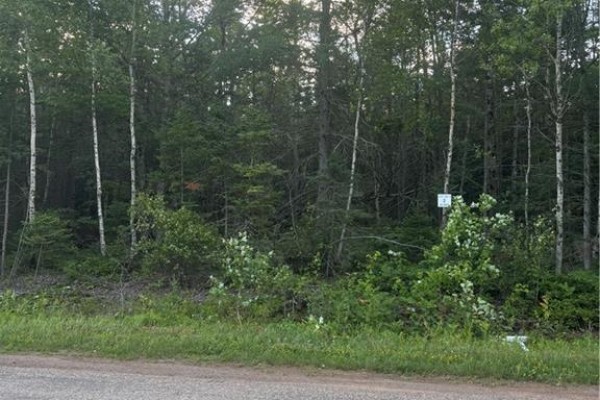 Lot 26-1 Upper Midland Road, Springfield, NB E5T1Z5 Photo 4
