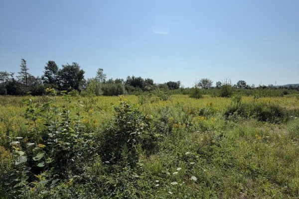 Lot 26-2 Balcom Road, Clarence, NS B0S1R0 Photo 4