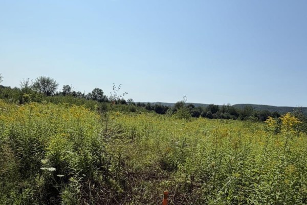 Lot 26-2 Balcom Road, Clarence, NS B0S1R0 Photo 5