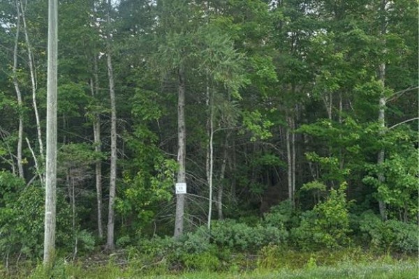 Lot 26-2 Upper Midland Road, Springfield, NB E5T1Z5 Photo 4