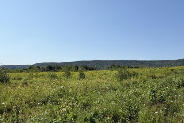 Lot 26-3 Balcom Road, Clarence, NS B0S1R0 Photo 5