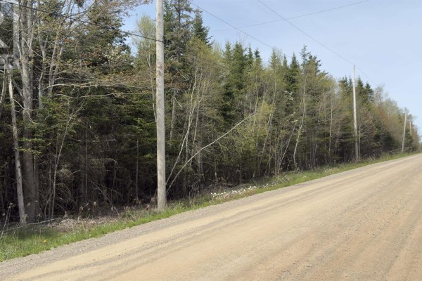 Lot 26-3 Beech Hill Road, Princeport, NS B6L1B7 Photo 4