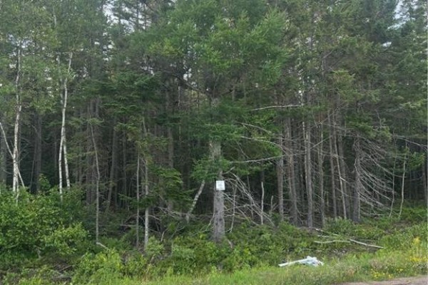 Lot 26-3 Upper Midland Road, Springfield, NB E5T1Z7 Photo 4