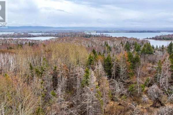 Lot 26-7 Big Island Road, Merigomish, NS B0K1G0 Photo 4