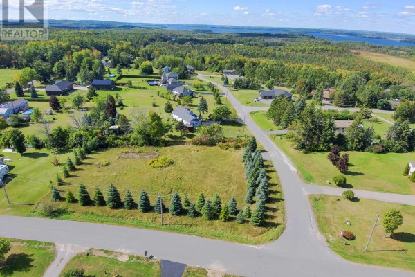 Top-down aerial view of a grassy lot with a small concrete foundation and mature trees lining the property. - Lot 26 Grandview Drive, Alderville First Nation