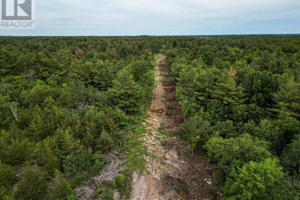 Lot 26 Mckeown Road, Stone Mills, ON K7R3L2 Photo 4