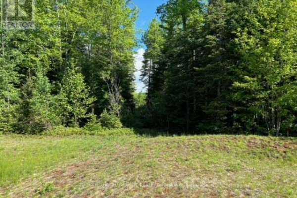 Lot 27 Bancroft Ridge Drive, Bancroft, ON, photo 3