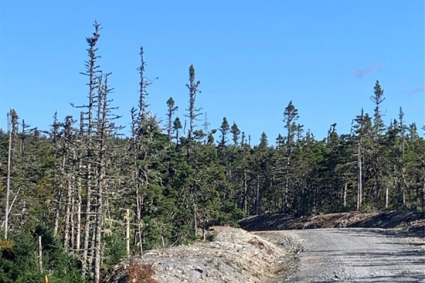Lot 27 Halleran Trail, Brigus Junction, NL, photo 3