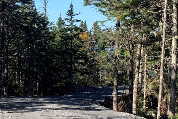 Lot 28 Halleran Trail, Brigus Junction, NL, photo 2