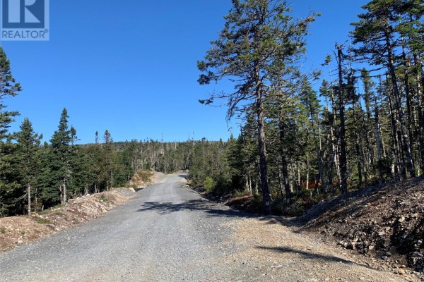 Lot 28 Halleran Trail, Brigus Junction, NL, photo 3