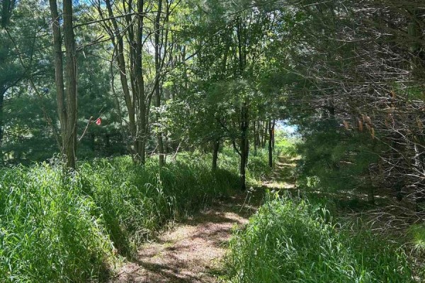 Lot 29 5th Line E, Mulmur, ON, photo 2