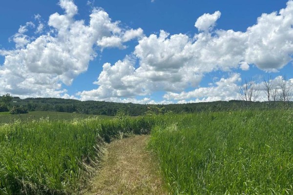 Lot 29 5th Line E, Mulmur, ON, photo 3