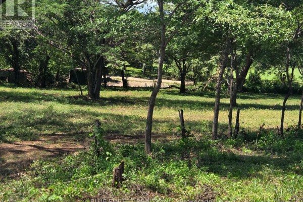Lot 29 Belen, Costa Rica, ON  Photo 3