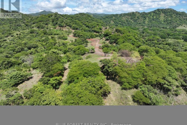Lot 29 Belen, Costa Rica, ON  Photo 4