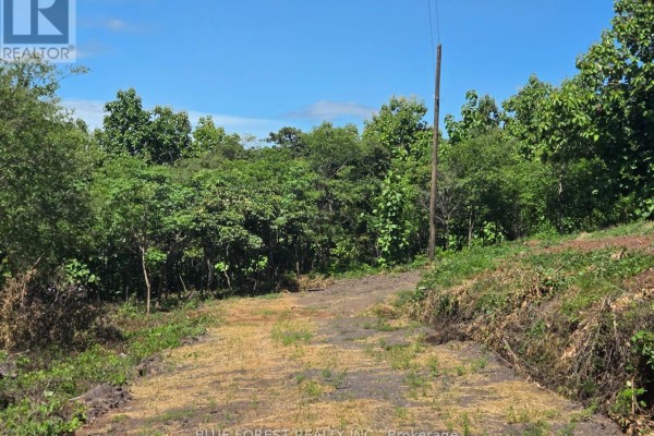 Lot 29 Belen, Costa Rica, ON  Photo 5