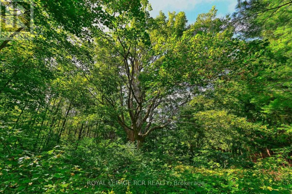 Lot 29 Prince Of Wales Road W, Mulmur, ON L9V0C6 Photo 2