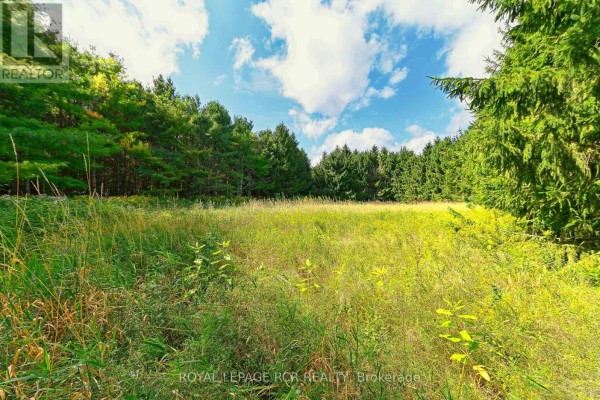 Lot 29 Prince Of Wales Road W, Mulmur, ON L9V0C6 Photo 5