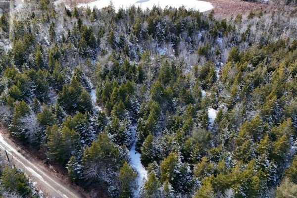 Lot 3, Hamilton Road, Pleasant Valley, NS B5A5P1 Photo 3