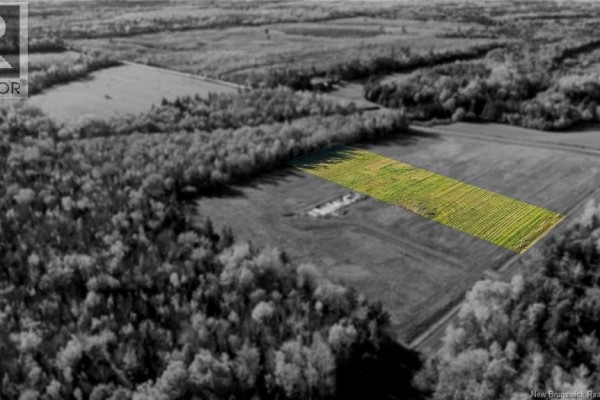 Lot 3 Bois Joli Road, Bouctouche, NB E4S2X1 Photo 4