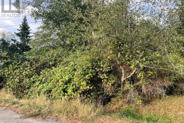 Lot 3 Cedar Street, Texada Island, BC, photo 3