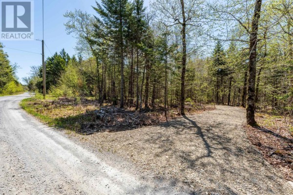Lot 3 Chemin Theriault Point Road, Belliveaus Cove, NS B0W1M0 Photo 2
