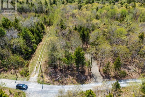 Lot 3 Chemin Theriault Point Road, Belliveaus Cove, NS B0W1M0 Photo 4