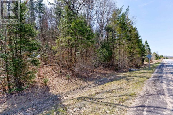 Lot 3 Foymount Road, Bonnechere Valley, ON, photo 3