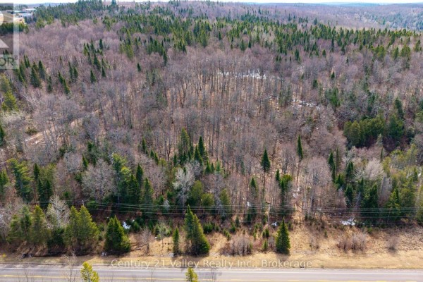 Lot 3 Foymount Road, Bonnechere Valley, ON K0J1W0 Photo 4