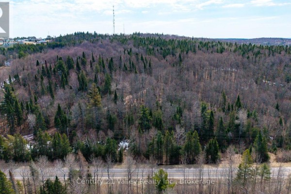 Lot 3 Foymount Road, Bonnechere Valley, ON K0J1W0 Photo 5