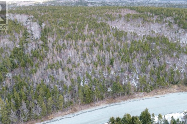 Overhead view of forested land with bare deciduous trees and scattered snow patches beside a paved road. - Lot 3 Grand Mira South Road, Grand Mira
