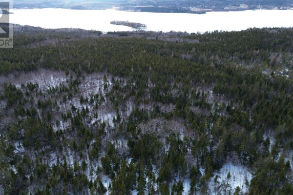 Drone shot over a vast expanse of snow-dusted evergreen forest and leafless trees under a cloudy sky. - Lot 3 Grand Mira South Road, Grand Mira