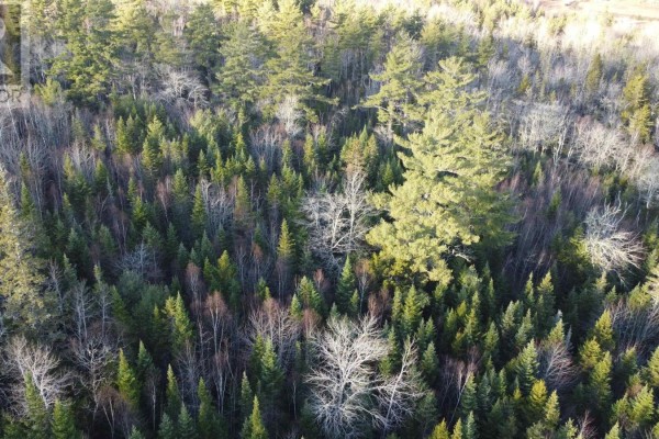 Lot 3 Highway 10, Albany, NS B0S1P0 Photo 2