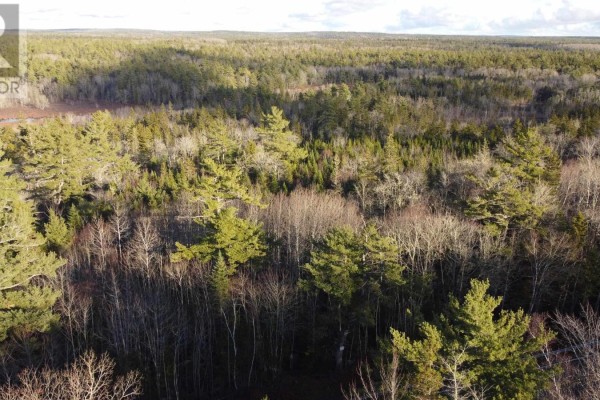 Lot 3 Highway 10, Albany, NS B0S1P0 Photo 3