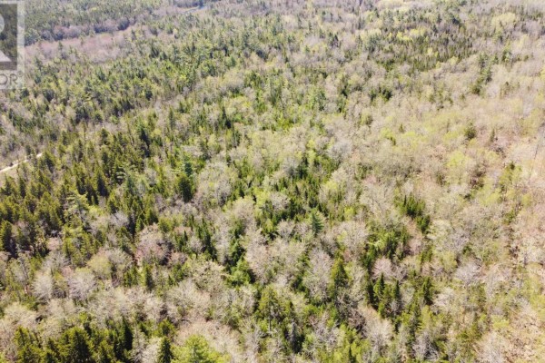 Lot 3 Highway 10, Albany, NS B0S1P0 Photo 4
