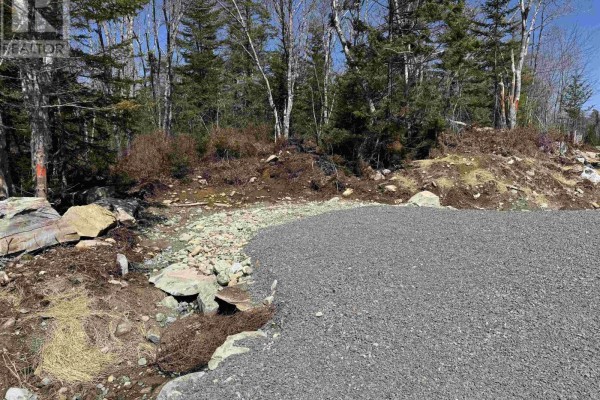 Lot 3 Highway 3, Summerville Heights, Summerville Centre, NS B0T1T0 Photo 5