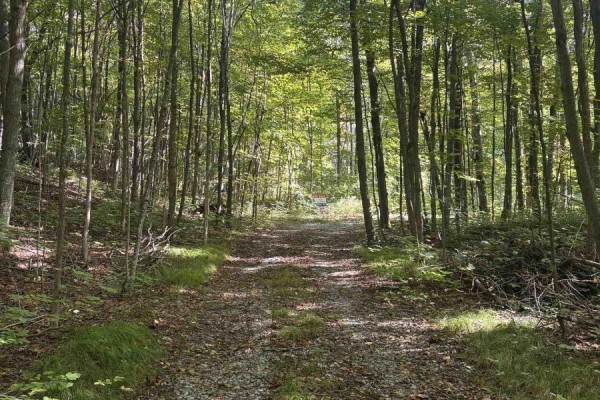 Lot 3 Hilary Way Scotch Line Road, Tay Valley, ON, photo 3
