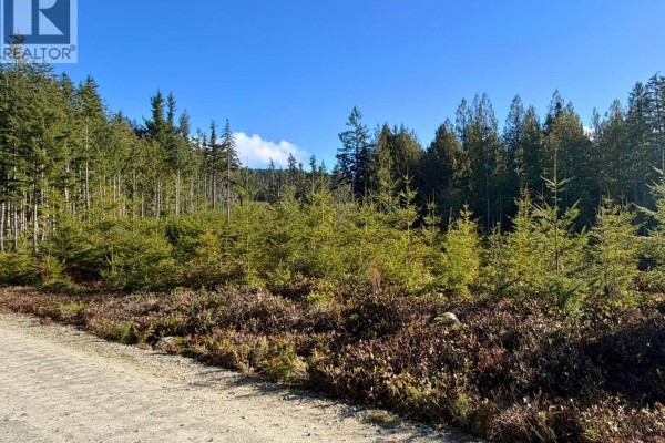 Lot 3 Lockyer Road, Roberts Creek, BC V0N2W1 Photo 5