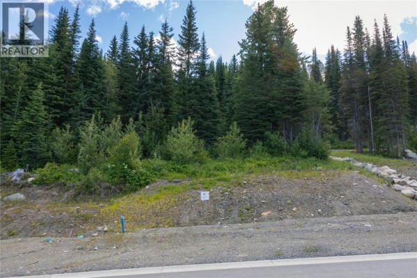 Lot 3 Mcgillivray Lake Drive, Sun Peaks, BC V0E5N0 Photo 5