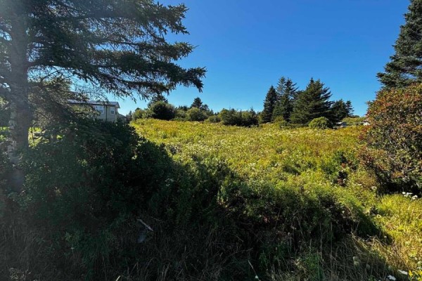 Lot 3 No 207 Highway, Grand Desert, NS B0J2L0 Photo 3