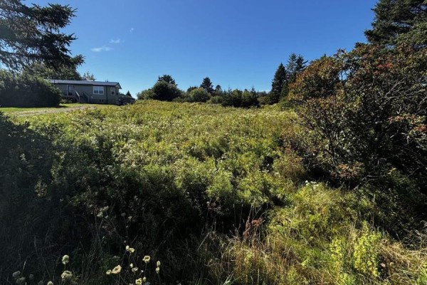Lot 3 No 207 Highway, Grand Desert, NS B0J2L0 Photo 4