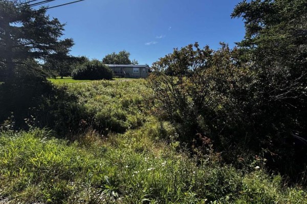 Lot 3 No 207 Highway, Grand Desert, NS B0J2L0 Photo 5