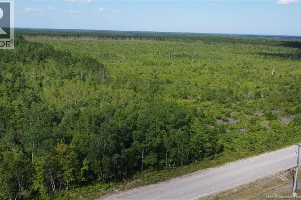Lot 3 O'keefe, Miramichi, NB E1V6J3 Photo 4