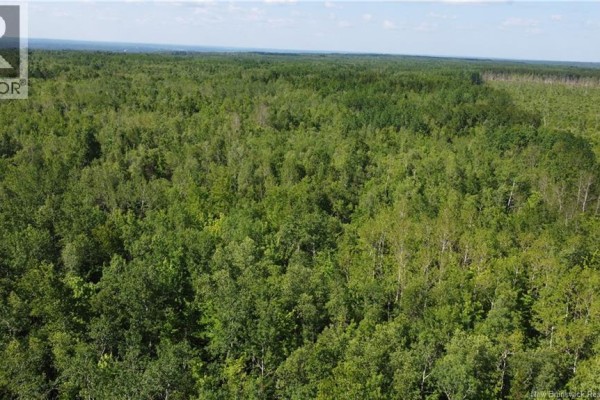 Lot 3 O'keefe, Miramichi, NB E1V6J3 Photo 5