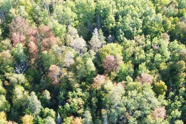 Lot 3 Ohio East Road, St  Joseph, NS B2G2K8 Photo 3
